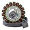 Rmstator Stator for Can-Am DS 250 2008-2014 DS250, Repl S31120RCA000 RM01286 - alternate 1